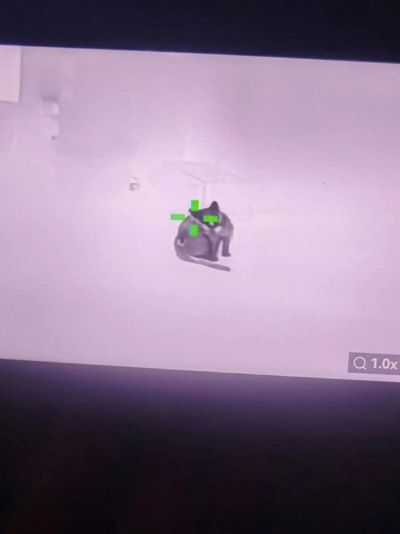 和平精英谁卖挂 和平精英辅助插件使用方法